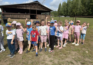 Motylki czekające na swoją kolej