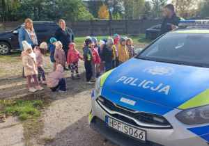 Motylki oglądające radiowóz