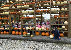 Jeżyki w galerii z dyń