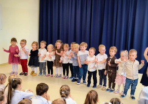 Grupa Sarenki podczas występów