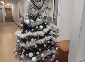 Dziękujemy za choinki