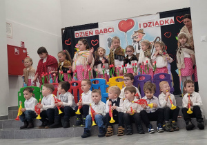 Występy grupy Kreciki